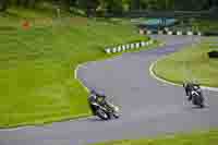 cadwell-no-limits-trackday;cadwell-park;cadwell-park-photographs;cadwell-trackday-photographs;enduro-digital-images;event-digital-images;eventdigitalimages;no-limits-trackdays;peter-wileman-photography;racing-digital-images;trackday-digital-images;trackday-photos